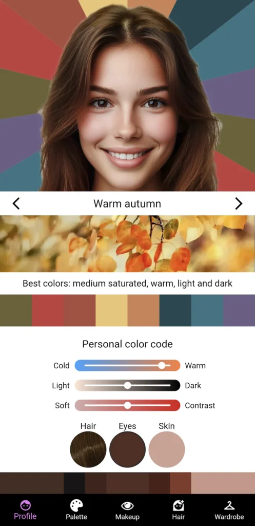 Dressika app Palette profile